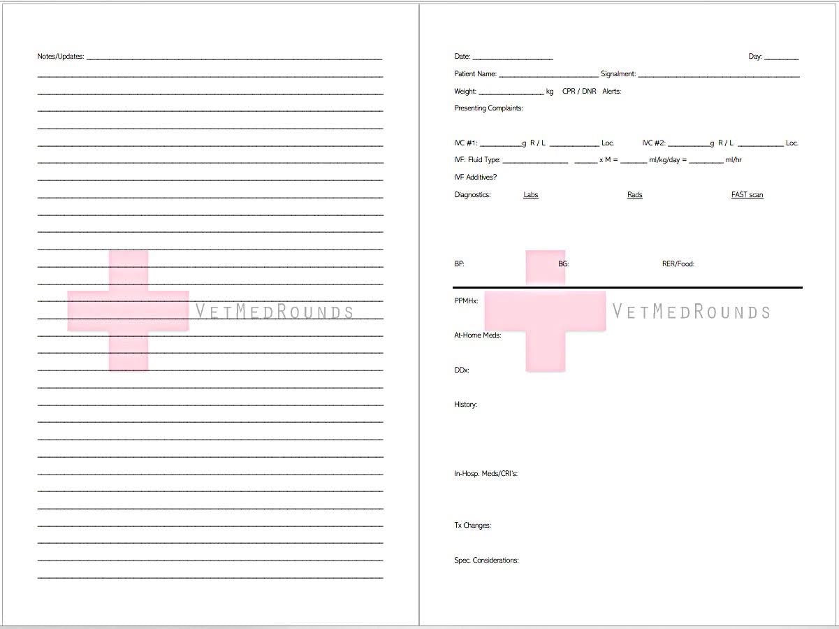 GLOSSY PAPERBACK: VetMedRounds Rounding Books: Later Gator Edition