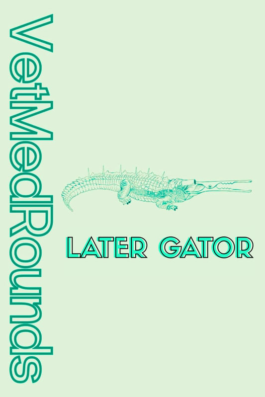 VetMedRounds: Later Gator Edition: VetMedRounds Rounding Books