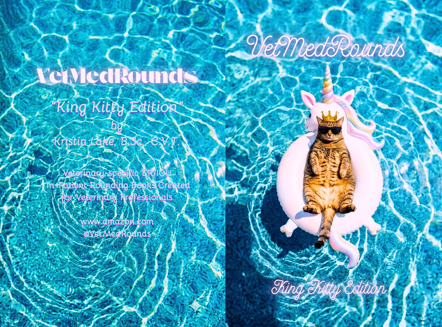 GLOSSY PAPERBACK: VetMedRounds Rounding Books: King Kitty Edition