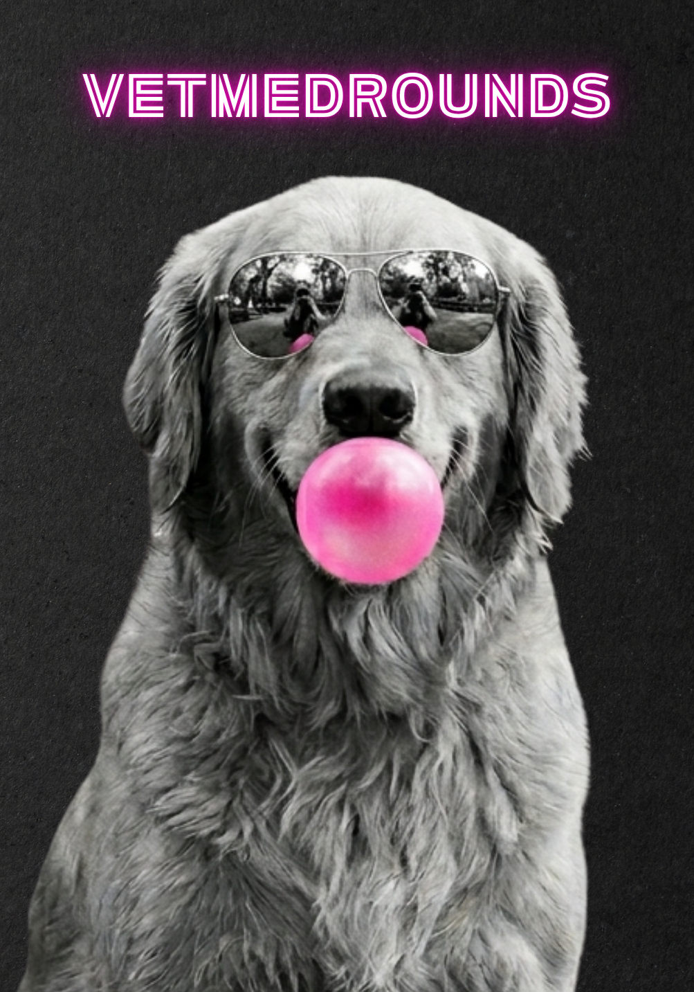 MATTE HARDCOVER: VetMedRounds Bubblegum + Shades Edition