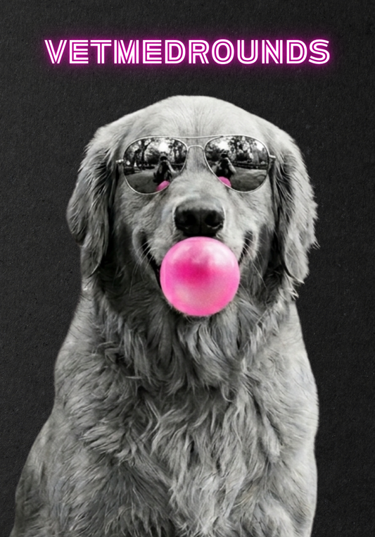 GLOSSY PAPERBACK: VetMedRounds Bubblegum + Shades Edition