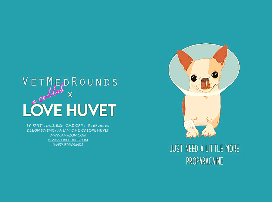 GLOSSY PAPERBACK: VetMedRounds Rounding Book: Collab with Love Huvet Edition