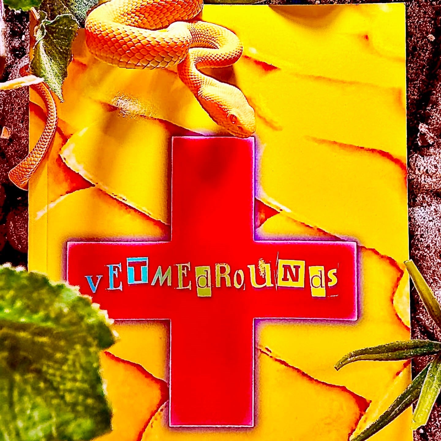 GLOSSY PAPERBACK: VetMedRounds Rounding Book: Yellow Snake Scale Edition